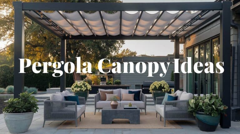 Gorgeous Pergola Canopy Ideas (Pictures)