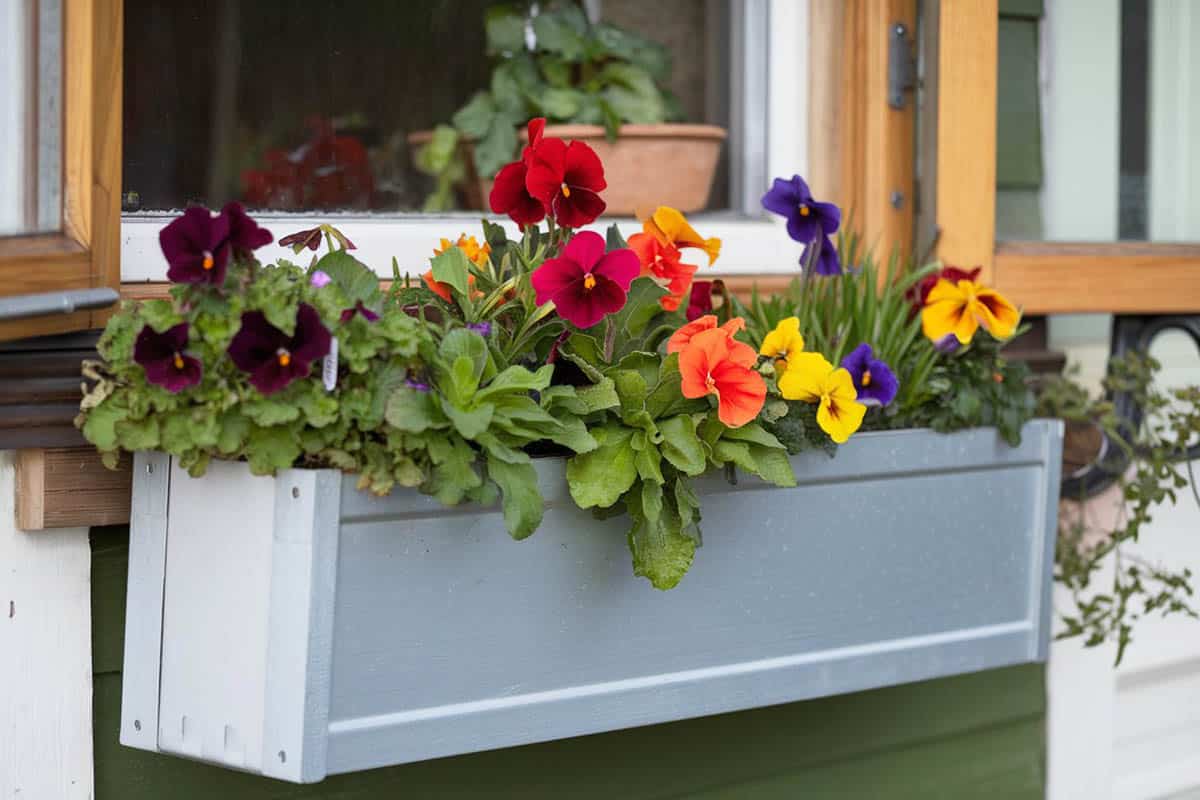 Diy rustic window flower garden painted in white