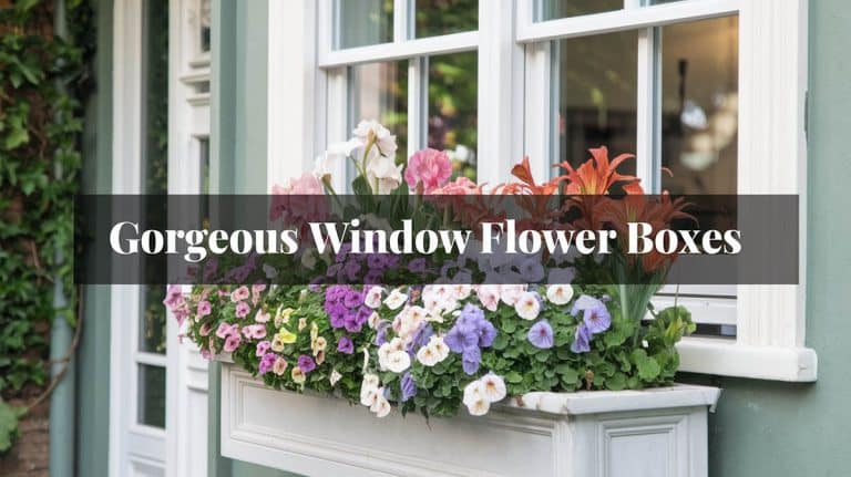 33 Gorgeous Window Flower Boxes
