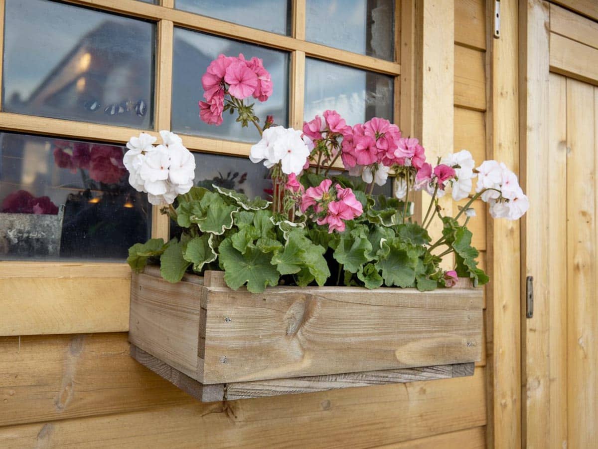 DIY rustic wood box with white and red flowers