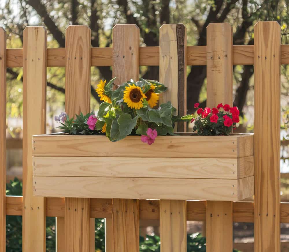 Teak flora caddy with daisies