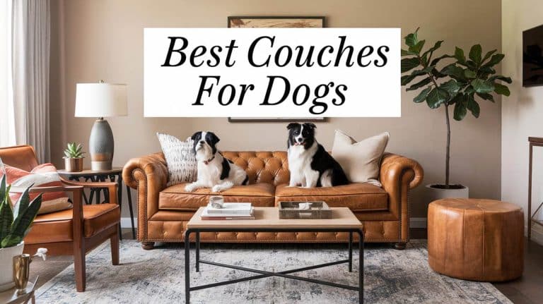What Are The Best Couches for Dogs? Material & Fabric Ideas