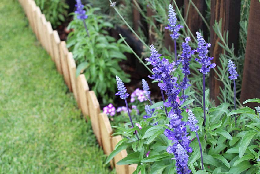 Wood mini picket fence border