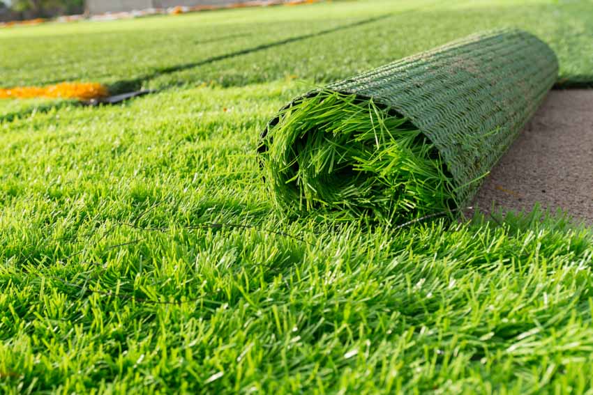 Artificial turf for dogs rolled on outdoor space