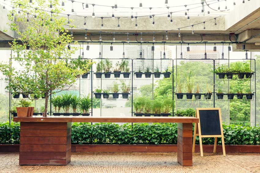 House exterior area with outdoor cedar countertop, string lights, and potted plants