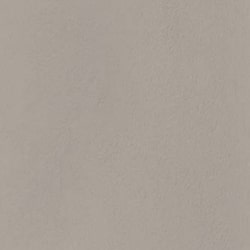 Functional Gray (SW 7024)